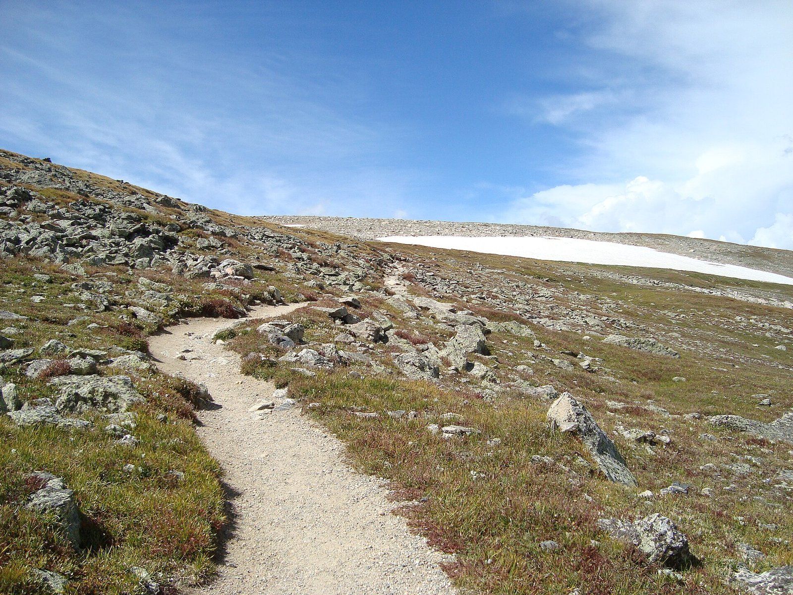 The Flattop Mountain Trail crossing alpine tundra above treeline in Rocky Mountain Nationa, a Wikimedia Commons photograph in the encyclopedia of Candace Cooley